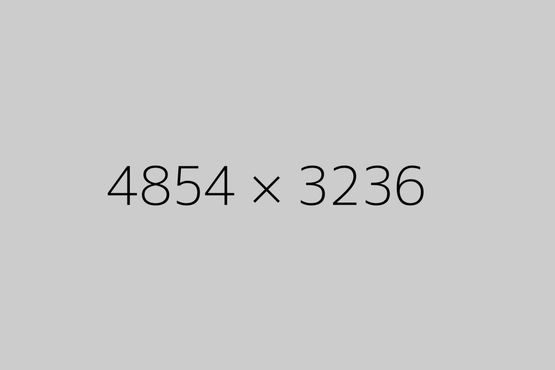 B&auml;rbel Riemann Final.jpg